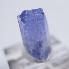 ���󥶥˥��������󥶥ʥ���