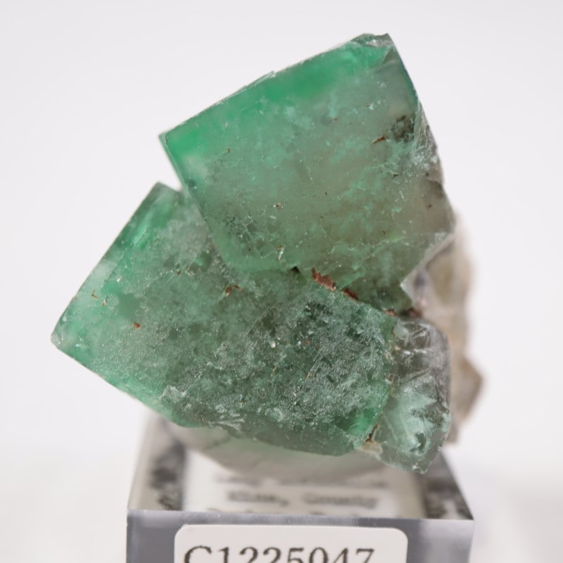 The Bull Vein産　フローライト　蛍石　原石　鉱物　鉱物標本 The Bull Vein産 フローライト 蛍石 原石 鉱物 鉱物標本 - メルカリ