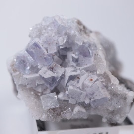 La Viesca�ۻ����ե����饤��