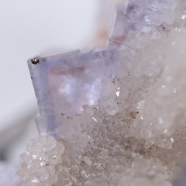 La Viesca�ۻ����ե����饤��