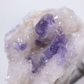 Berbes�����ե����饤��