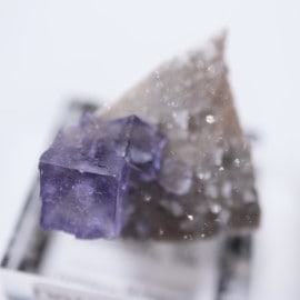 ����०�åɹۻ����ե����饤��