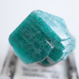 ������ɽ��������ޥ��ʥ���