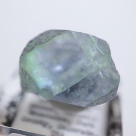 ������ɽ������ե����饤��