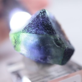 ������ɽ������ե����饤��