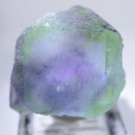 ������ɽ������ե����饤��