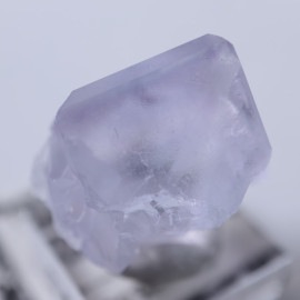 Llamas�����ե����饤��