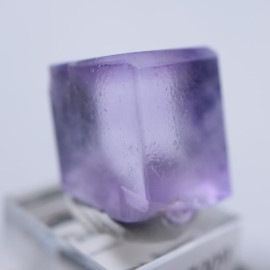 Llamas�����ե����饤��