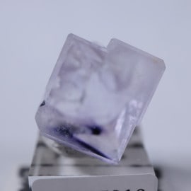 Llamas�����ե����饤��