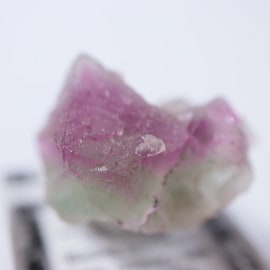 Luna�����ե����饤��