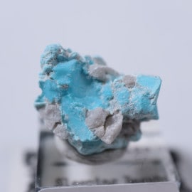 Sleeping Beauty�ۻ�������������