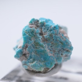 Sleeping Beauty�ۻ�������������