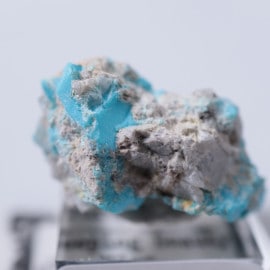 Sleeping Beauty�ۻ�������������