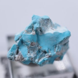 Sleeping Beauty�ۻ�������������