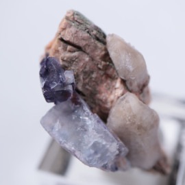 Nonsense Pocket���ե����饤��