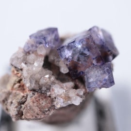 Nonsense Pocket���ե����饤��