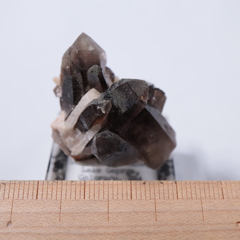 煙水晶 鳥取県産煙水晶大 - セルフクリエイション