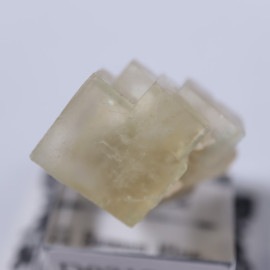 El Hammam�ۻ����ե����饤��