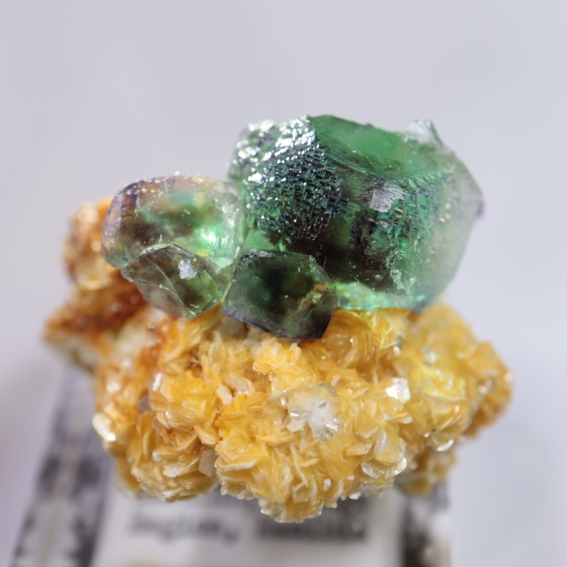 ナミビア産　フローライト（蛍石）ガーデン風 ナミビア産フローライト(蛍石)ガーデン風