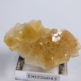 �⥹���ʹۻ����ե����饤��