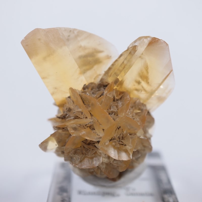 40g ジプサム 世界に一つだけの結晶野郎ジプサム 鉱物標本 美品 40gジプサム世界に一つだけの結晶野郎ジプサム鉱物標本美品