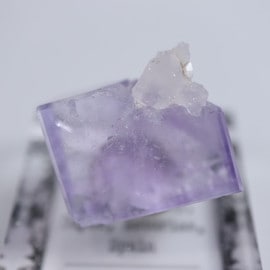 Llamas Quarry�����ե����饤��