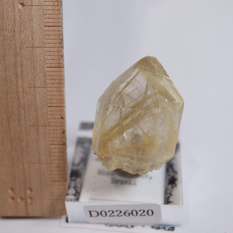 ブラジル産 ルチルインクォーツ | 鉱物標本,カ行,クォーツ/水晶