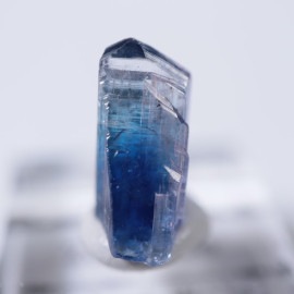 ����˥ҥ륺�������������ȡʥ��󥶥ʥ��ȡ�