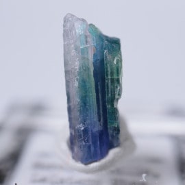 ����˥ҥ륺�������������ȡʥ��󥶥ʥ��ȡ�