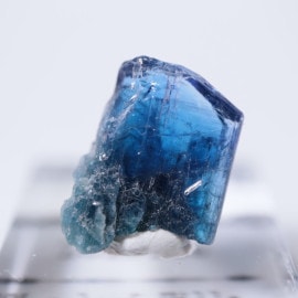 ����˥ҥ륺�������������ȡʥ��󥶥ʥ��ȡ�