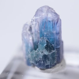 ����˥ҥ륺�������������ȡʥ��󥶥ʥ��ȡ�