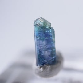 ����˥ҥ륺�������������ȡʥ��󥶥ʥ��ȡ�