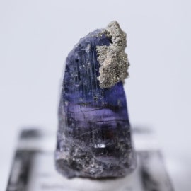 ����˥ҥ륺�������������ȡʥ��󥶥ʥ��ȡ�