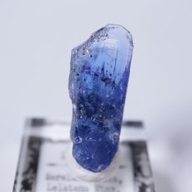 ����˥ҥ륺�������������ȡʥ��󥶥ʥ��ȡ�