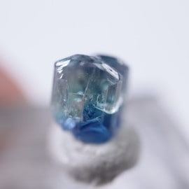 ����˥ҥ륺�������������ȡʥ��󥶥ʥ��ȡ�