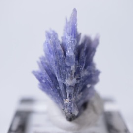 ����˥ҥ륺�������������ȡʥ��󥶥ʥ��ȡ�