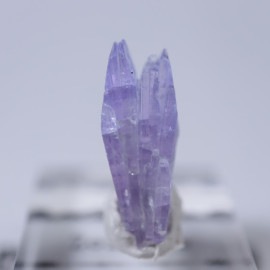 ����˥ҥ륺�������������ȡʥ��󥶥ʥ��ȡ�