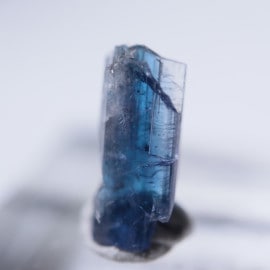 ����˥ҥ륺�������������ȡʥ��󥶥ʥ��ȡ�