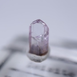 ����˥ҥ륺�������������ȡʥ��󥶥ʥ��ȡ�