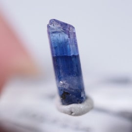 ����˥ҥ륺�������������ȡʥ��󥶥ʥ��ȡ�