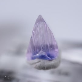 ����˥ҥ륺�������������ȡʥ��󥶥ʥ��ȡ�