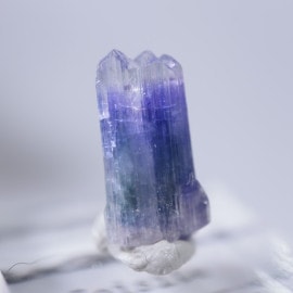 ����˥ҥ륺�������������ȡʥ��󥶥ʥ��ȡ�