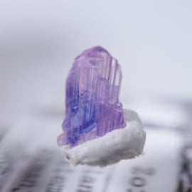 ����˥ҥ륺�������������ȡʥ��󥶥ʥ��ȡ�