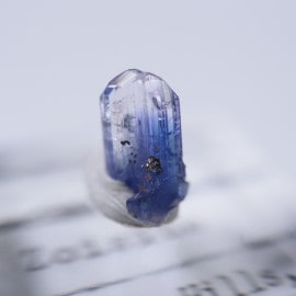 ����˥ҥ륺�������������ȡʥ��󥶥ʥ��ȡ�