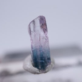 ����˥ҥ륺�������������ȡʥ��󥶥ʥ��ȡ�