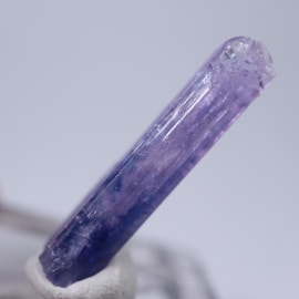 ����˥ҥ륺�������������ȡʥ��󥶥ʥ��ȡ�