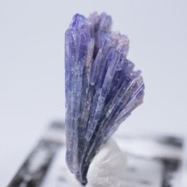 ����˥ҥ륺�������������ȡʥ��󥶥ʥ��ȡ�