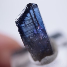 ����˥ҥ륺�������������ȡʥ��󥶥ʥ��ȡ�