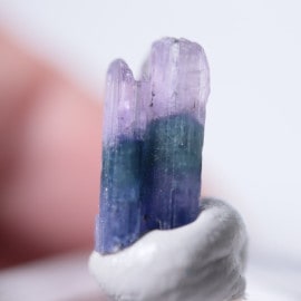 ����˥ҥ륺�������������ȡʥ��󥶥ʥ��ȡ�