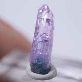 ����˥ҥ륺�������������ȡʥ��󥶥ʥ��ȡ�